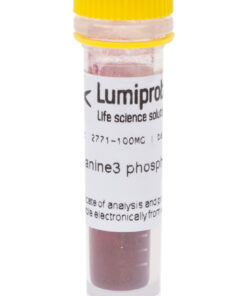 Cyanine phosphoramidites: Thuốc nhuộm cyanine photphoramidites để tổng hợp oligo biến đổi đầu 5'