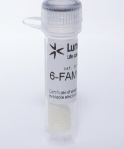 FAM amidites và chất hỗ trợ: Fluorescein photphoramidites và chất hỗ trợ được sử dụng để biến đổi đầu 3'- và bên trong đầu 5' của oligonucleotide