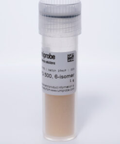 FAM CPG 500 6 isomer 2 1