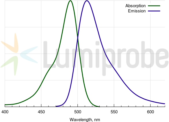 Fluorescein photphoramidites và chất hỗ trợ được sử dụng để biến đổi đầu 3'- và bên trong đầu 5' của oligonucleotide. 5 FAM absorbance emission