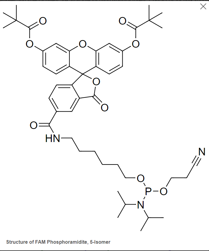Fluorescein photphoramidites và chất hỗ trợ được sử dụng để biến đổi đầu 3'- và bên trong đầu 5' của oligonucleotide. 4 Screenshot 2024 01 15 113718