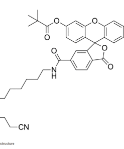 FAM amidites và chất hỗ trợ: Fluorescein photphoramidites và chất hỗ trợ được sử dụng để biến đổi đầu 3'- và bên trong đầu 5' của oligonucleotide 9 Screenshot 2024 01 17 140023
