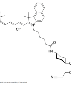 Cyanine phosphoramidites: Thuốc nhuộm cyanine photphoramidites để tổng hợp oligo biến đổi đầu 5'. 9 Screenshot 2024 01 17 144148
