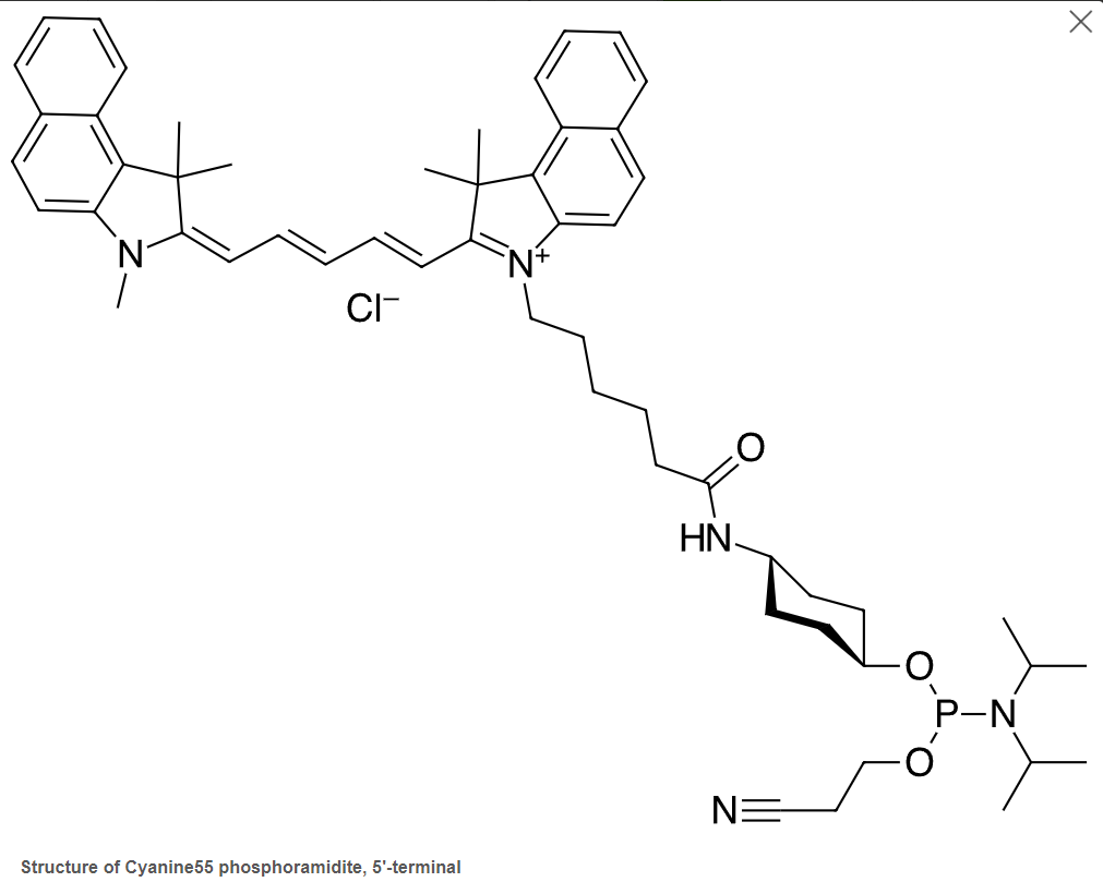 Cyanine phosphoramidites: Thuốc nhuộm cyanine photphoramidites để tổng hợp oligo biến đổi đầu 5'. 5 Screenshot 2024 01 17 144148
