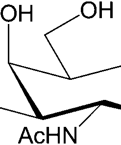2-Acetamido-1,2-dideoxy-galactonojirimycin, BIOSYNTH (MA34339)
