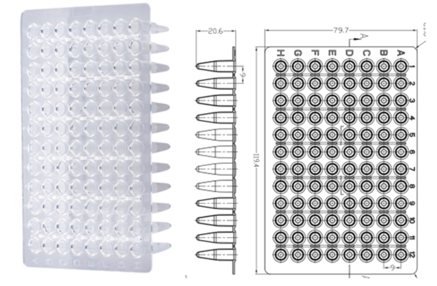 ĐĨA PCR 96 GIẾNG 0,2ML, KHÔNG VIỀN, CORBITION (PC0014) 3 Screenshot 2024 06 20 102019