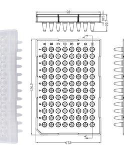 ĐĨA PCR 96 GIẾNG 0,2ML, NỬA VIỀN, CORBITION (PC1074) 5 cp8