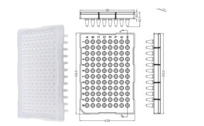 ĐĨA PCR 96 GIẾNG 0,2ML, NỬA VIỀN, CORBITION (PC1074) 5 cp8