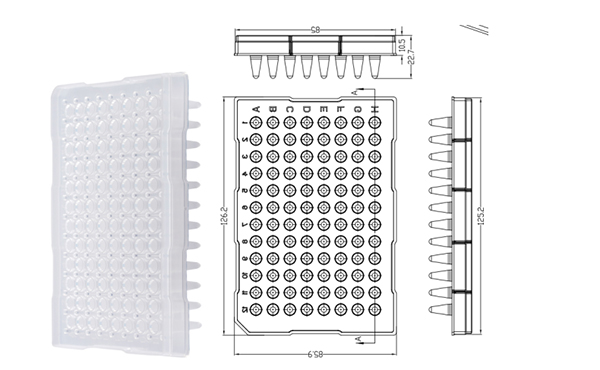 ĐĨA PCR 96 GIẾNG 0,2ML, NỬA VIỀN, CORBITION (PC1074) 3 cp8