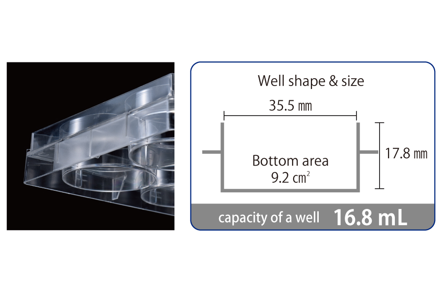 ĐĨA NUÔI CẤY TẾ BÀO 6 GIẾNG, WASTON BIO LAB (197-06CPS) 4 culture plate12