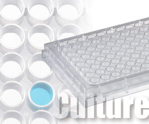 ĐĨA NUÔI CẤY TẾ BÀO 6 GIẾNG, WASTON BIO LAB (197-06CPS) 5 culture top