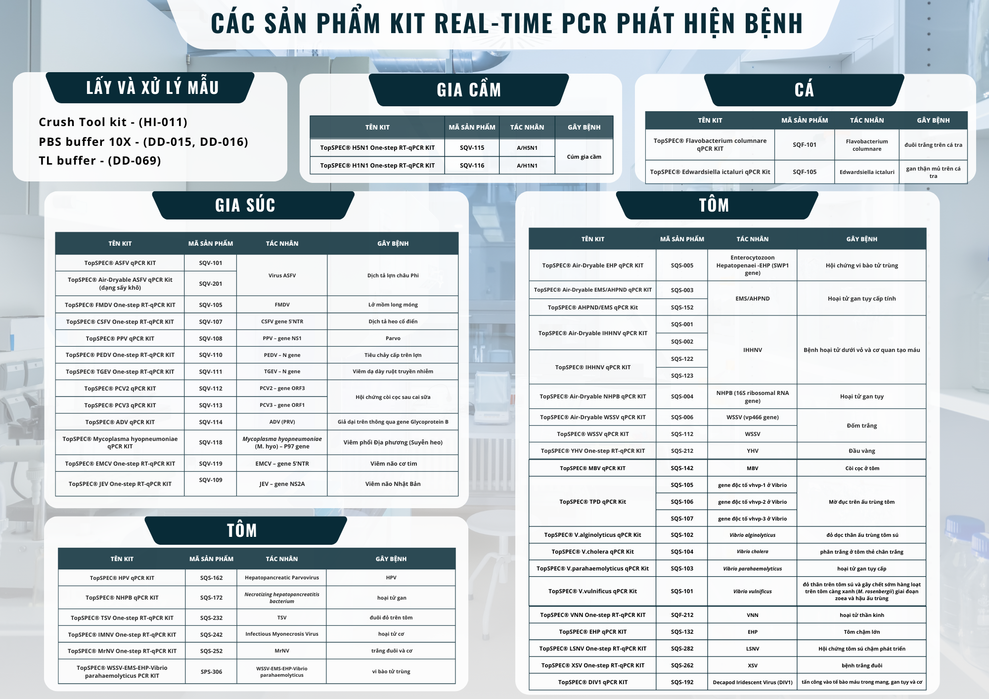GIẢI PHÁP REAL-TIME PCR BÁN TỰ ĐỘNG 3 2