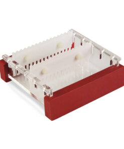 HỆ THỐNG ĐIỆN DI NGANG CLEAVER - MSMIDI7 4 MSMIDI2