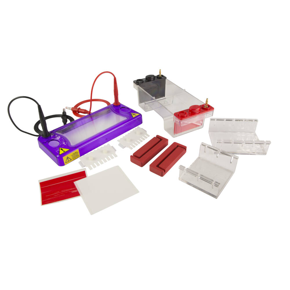HỆ THỐNG ĐIỆN DI NGANG CLEAVER - MSMINI7 4 MSMINI 3.WEB