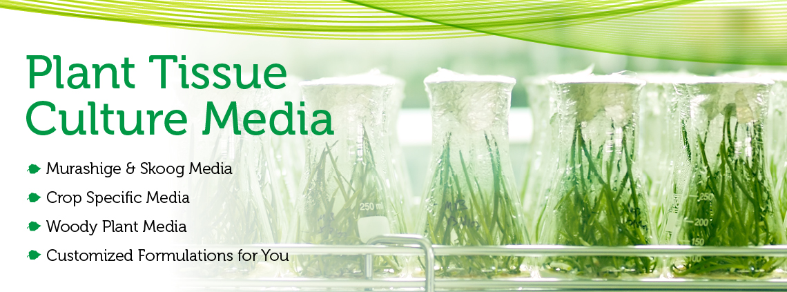 HÃNG PHYTOTECH 2 PTL WebHeader PlantMedia