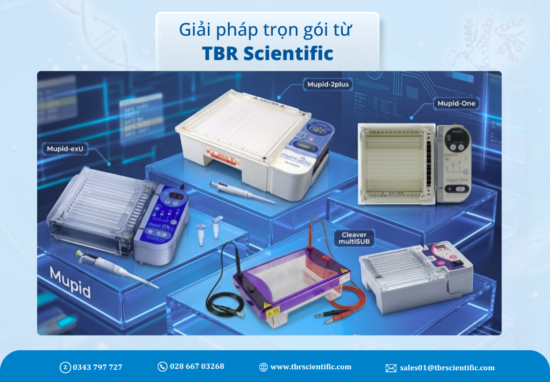 ĐIỆN DI GEL LÀ GÌ? NGUYÊN LÝ, ỨNG DỤNG VÀ CÁCH CHỌN HỆ THỐNG ĐIỆN DI PHÙ HỢP 5 t e1775803782693